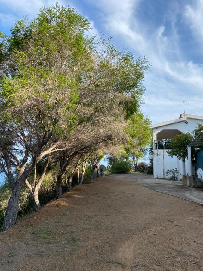 Casa Fadda - B&B
