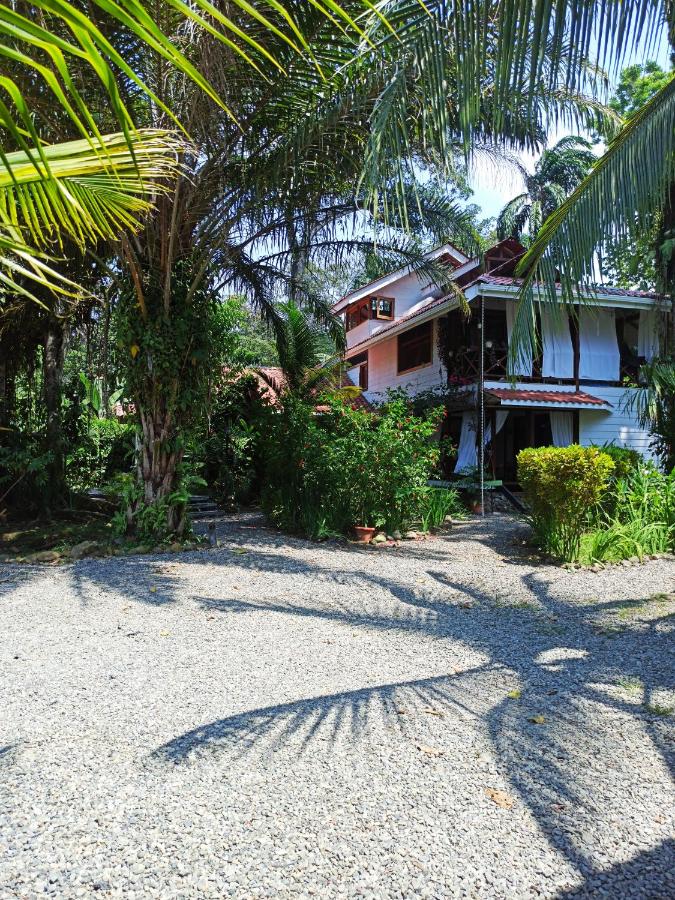 Chilamate Holiday House - Bed and Breakfast