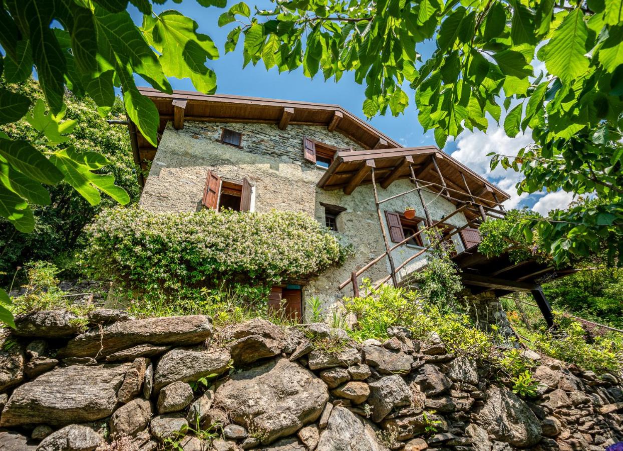 Rustico Ciabott - B&B Dascio