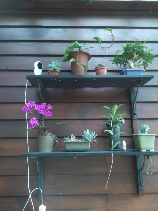 Mi Casa Homestay - B&B