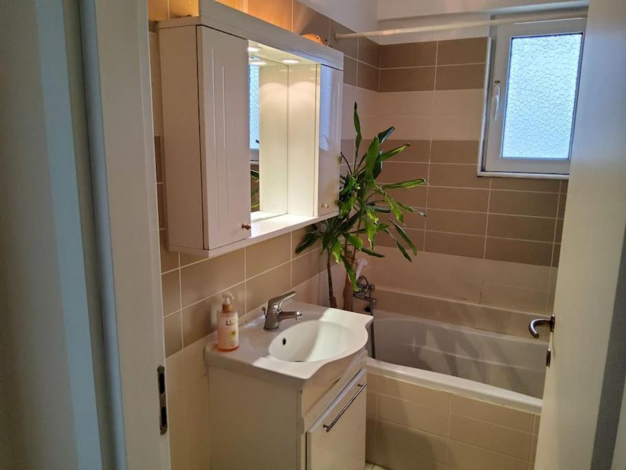 Apartment mit 2 Schlafzimmern