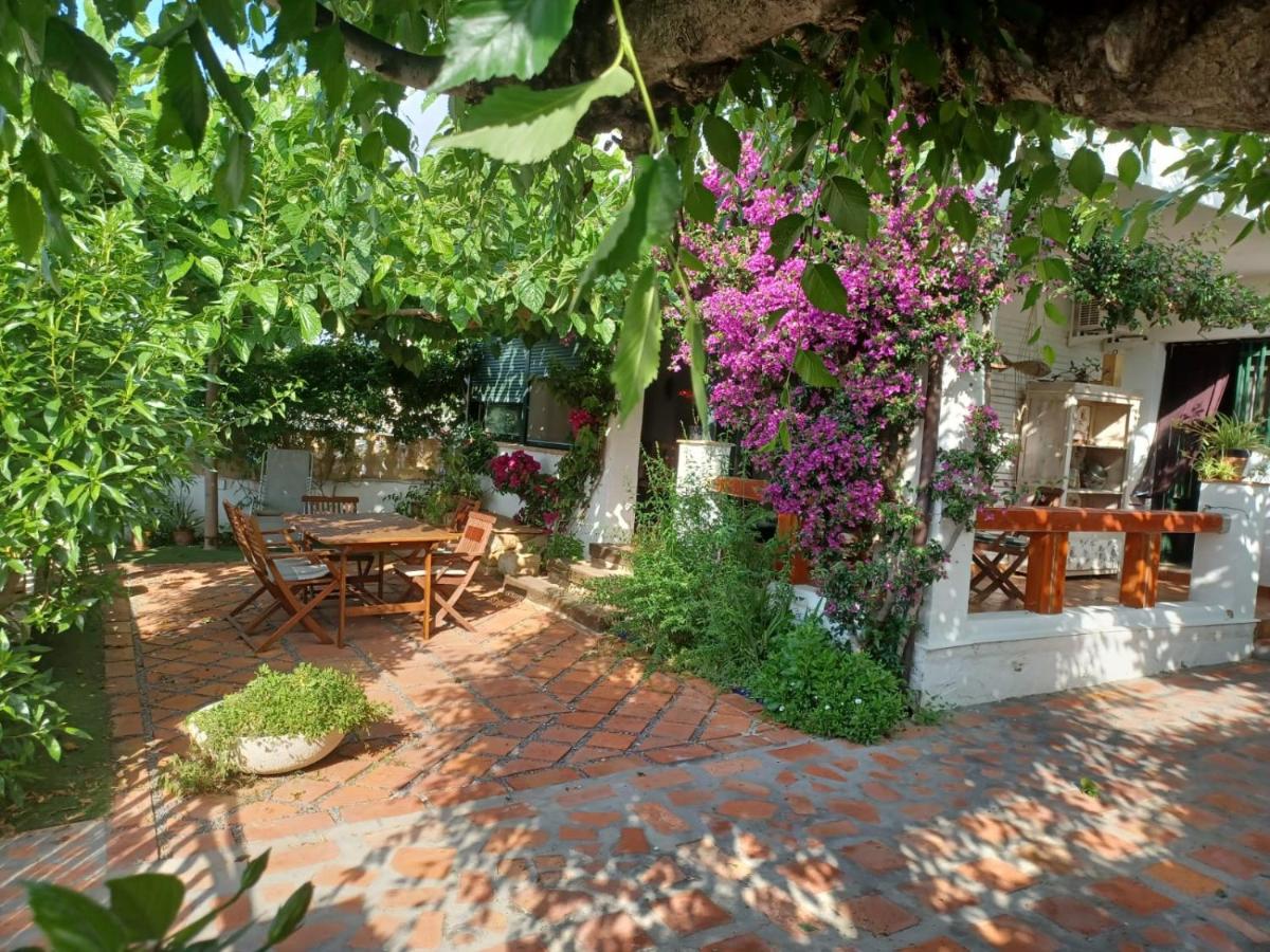 B&B Alcanar - Can Coco - Bed and Breakfast Alcanar