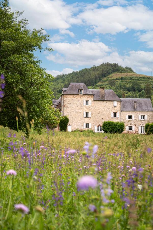 La Demeure du Comte - Chambres d'hôtes Marcillac-Vallon