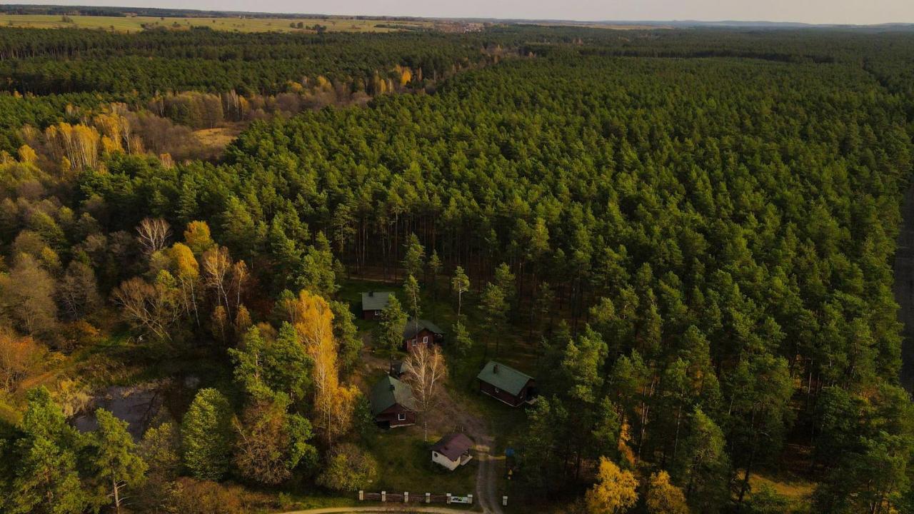 Domki Nad Tanwią - B&B