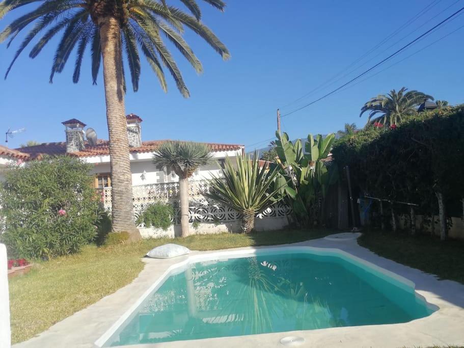 Moon in the garden - B&B Los Realejos