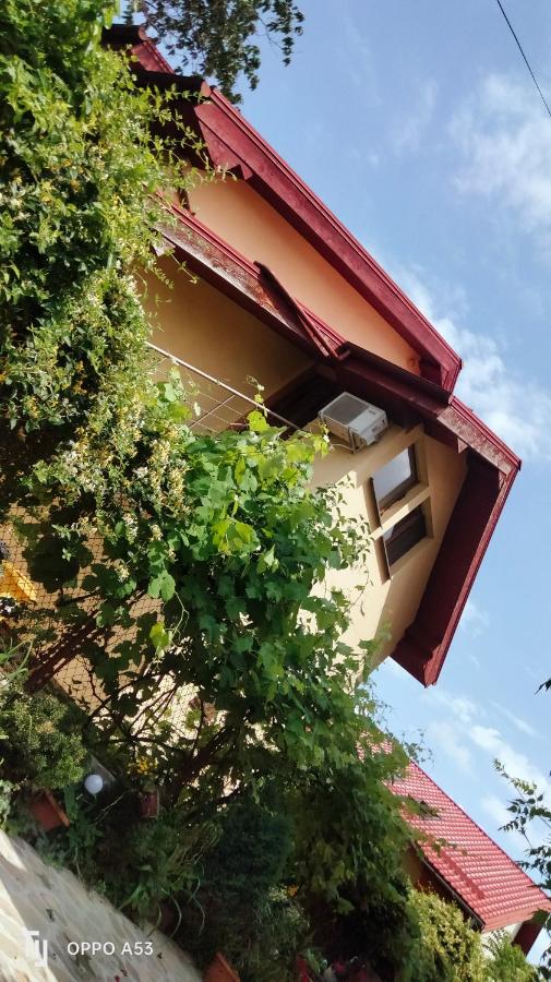 Apartament la casa Gina, Iulius Mall - Ferienwohnung Temeswar