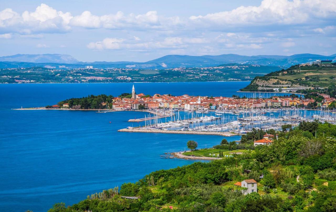 Apartma Maravea blizu morja - MARAVEA Apartment Near the Sea - B&B Izola
