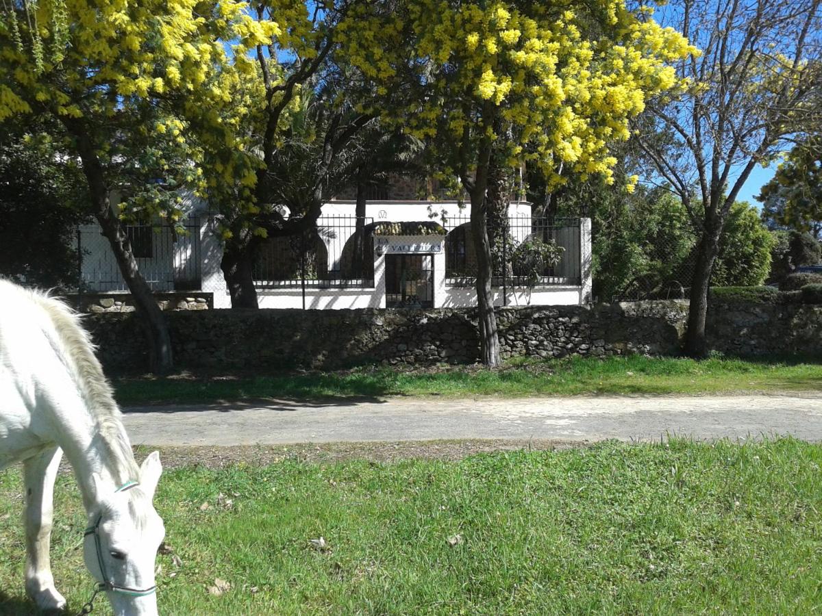 Casa Rural La Vallejera - B&B