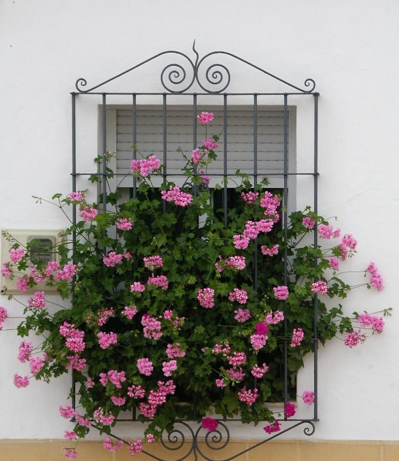 La Casa de Ángela - B&B