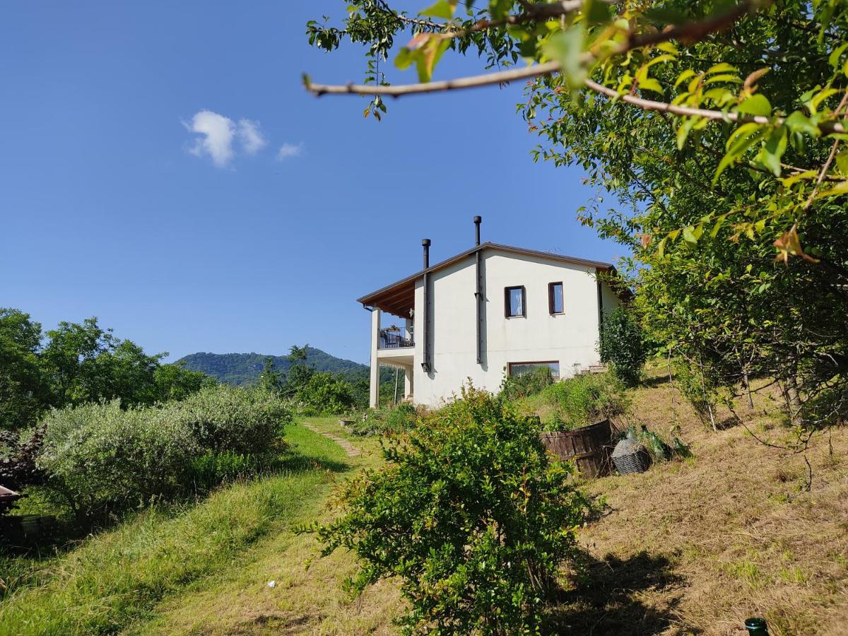 Casa Modigliani - Tra Arte e Natura - Ferienwohnung San Quirico