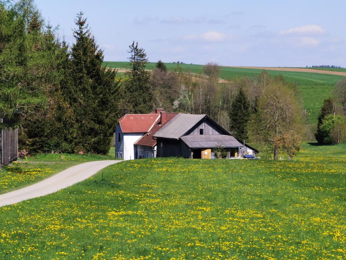 Landhaus auf der Alm - Ferienwohnung