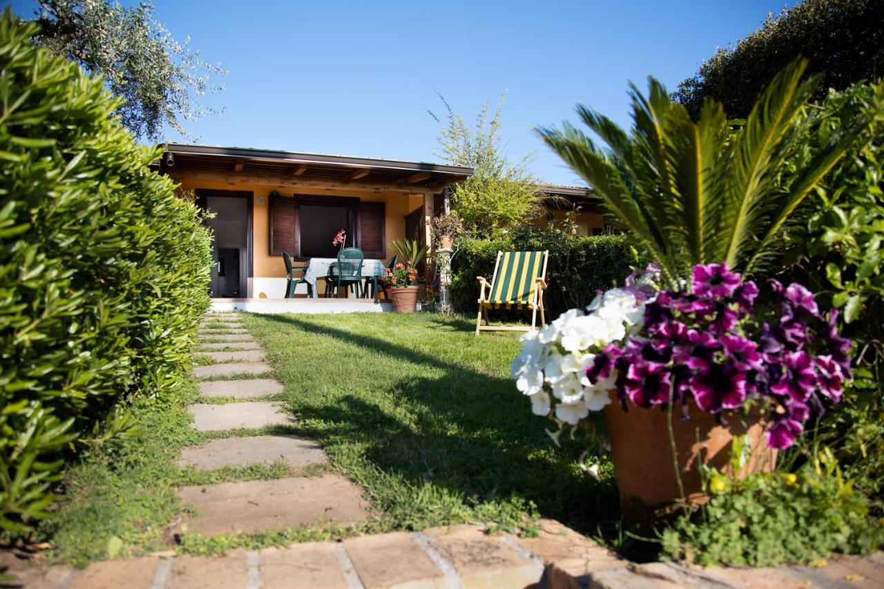 Alloggio incantevole con piscina - B&B