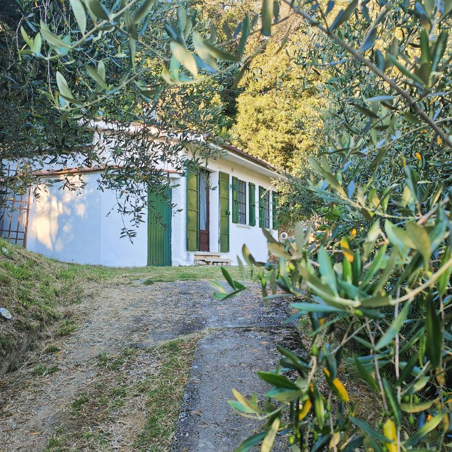 Massaciuccoli Romana - B&B Massaciuccoli