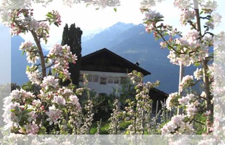 Lothof - B&B Scena