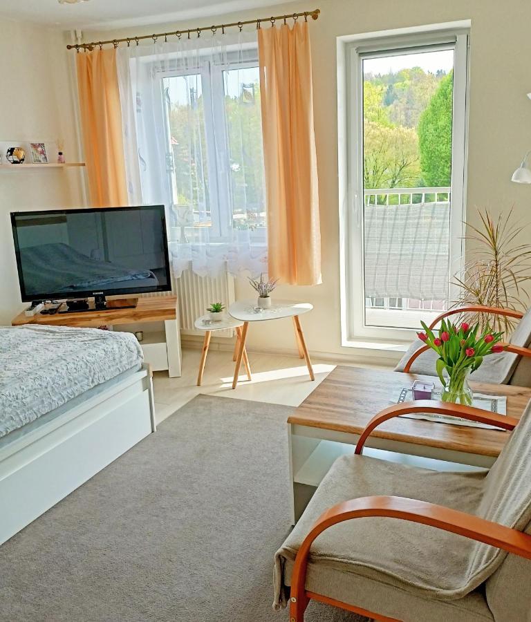 Noclegi, Słoneczne Mieszkanie we Lwówku Śląskim - B&B Gmina Lwówek Śląski