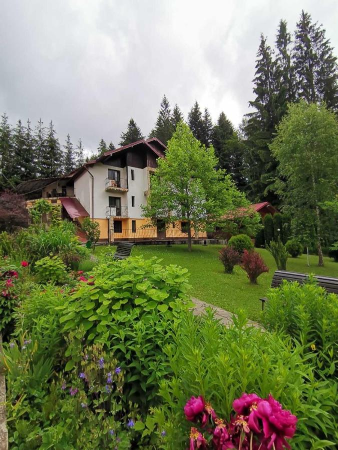 B&B Durău - Pensiunea Lu' Movila - Bed and Breakfast Durău