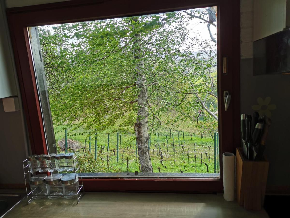 KOZJANSKA KOČA - B&B