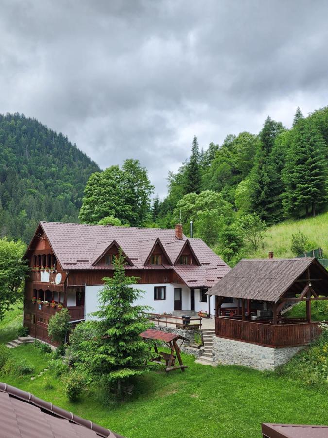 B&B Răchițele - Pensiunea Susman - Bed and Breakfast Răchițele