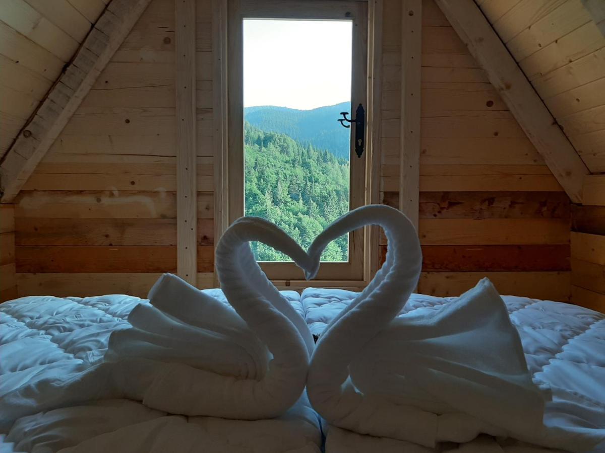 Domaćinstvo Pešića - Ferienwohnung Lubnice