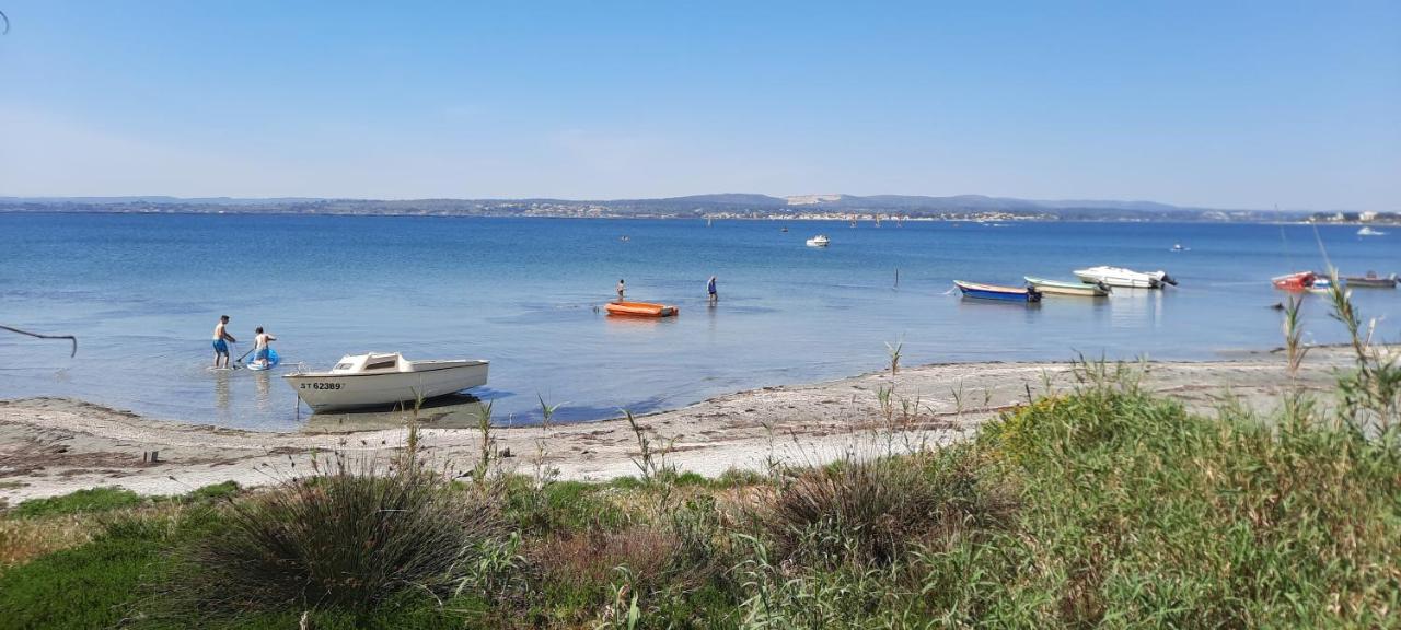 Paulette la Galinette et Laurent le Goéland - B&B Sète