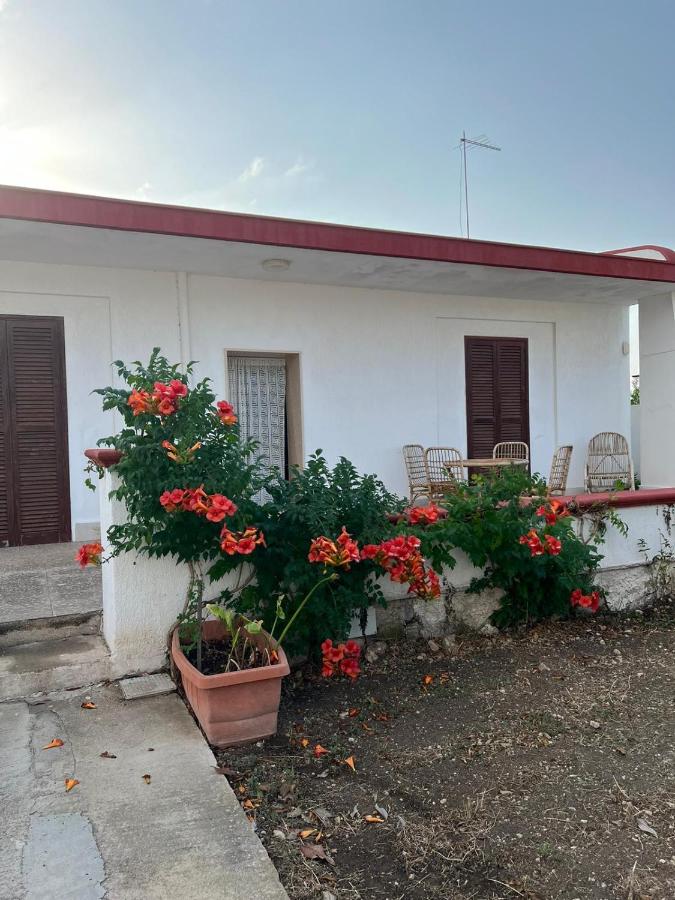 Villa Nicole - Ferienwohnung