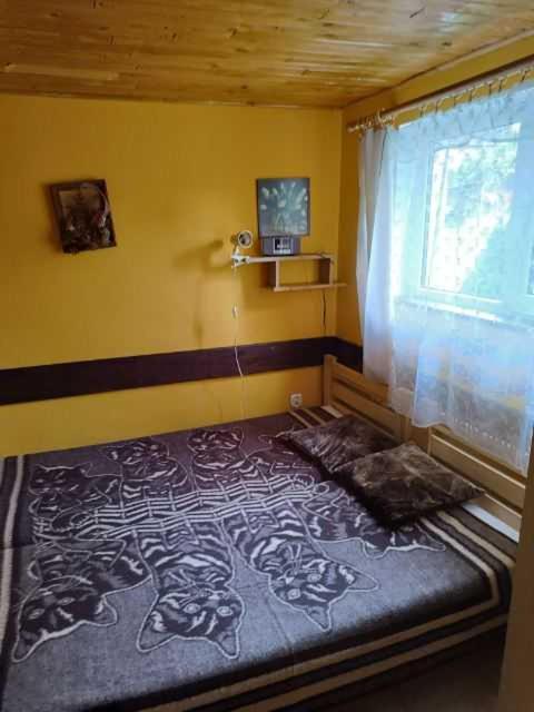 One-Bedroom House