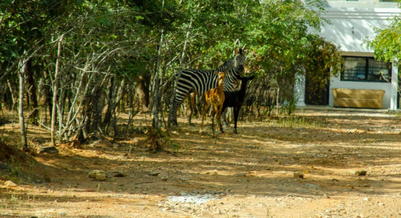 B&B Lusaka - Nsunge Nsunge Farm and Natural Resort - Bed and Breakfast Lusaka