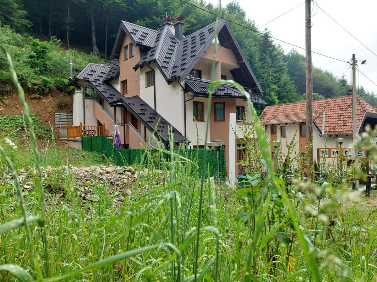 Vila MMBS - B&B Brzeće