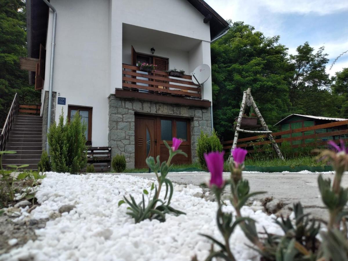 B&B Slatinski Drenovac - Holiday home Tilia - Bed and Breakfast Slatinski Drenovac