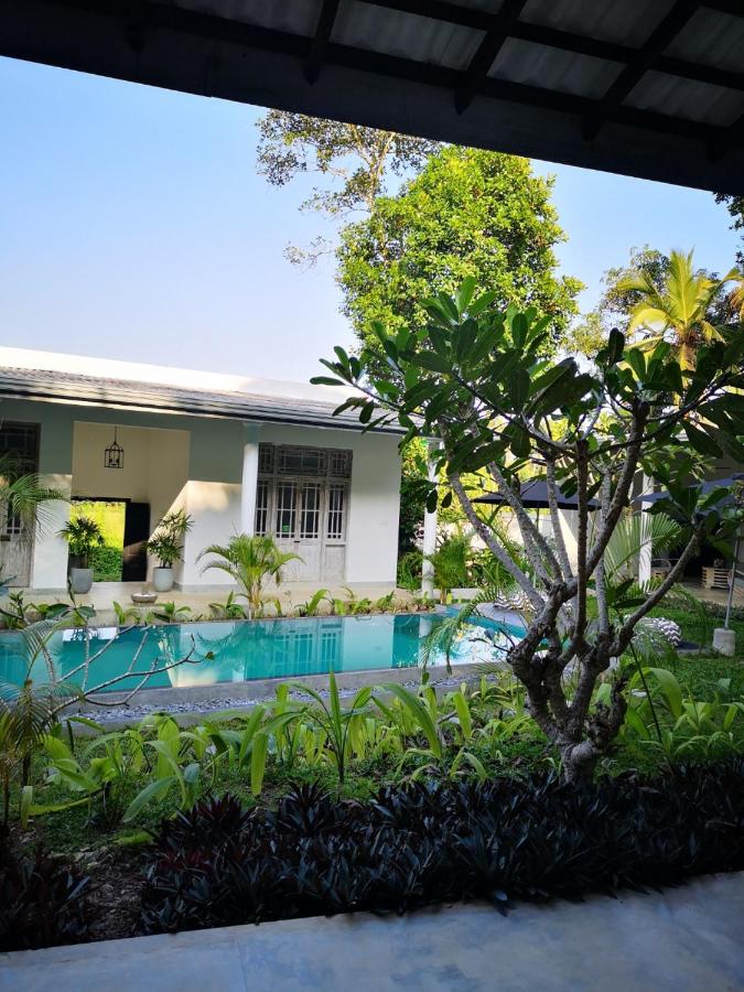 King Room with Pool View