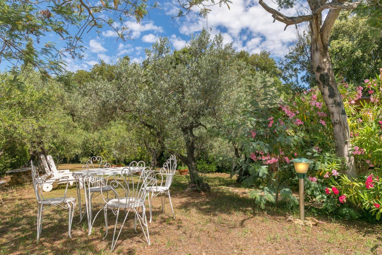 B&B Guardistallo - La Poggiolina in Toscana - Bed and Breakfast Guardistallo