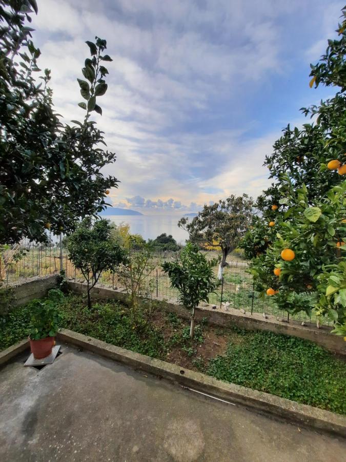Apartment - B&B Vlorë