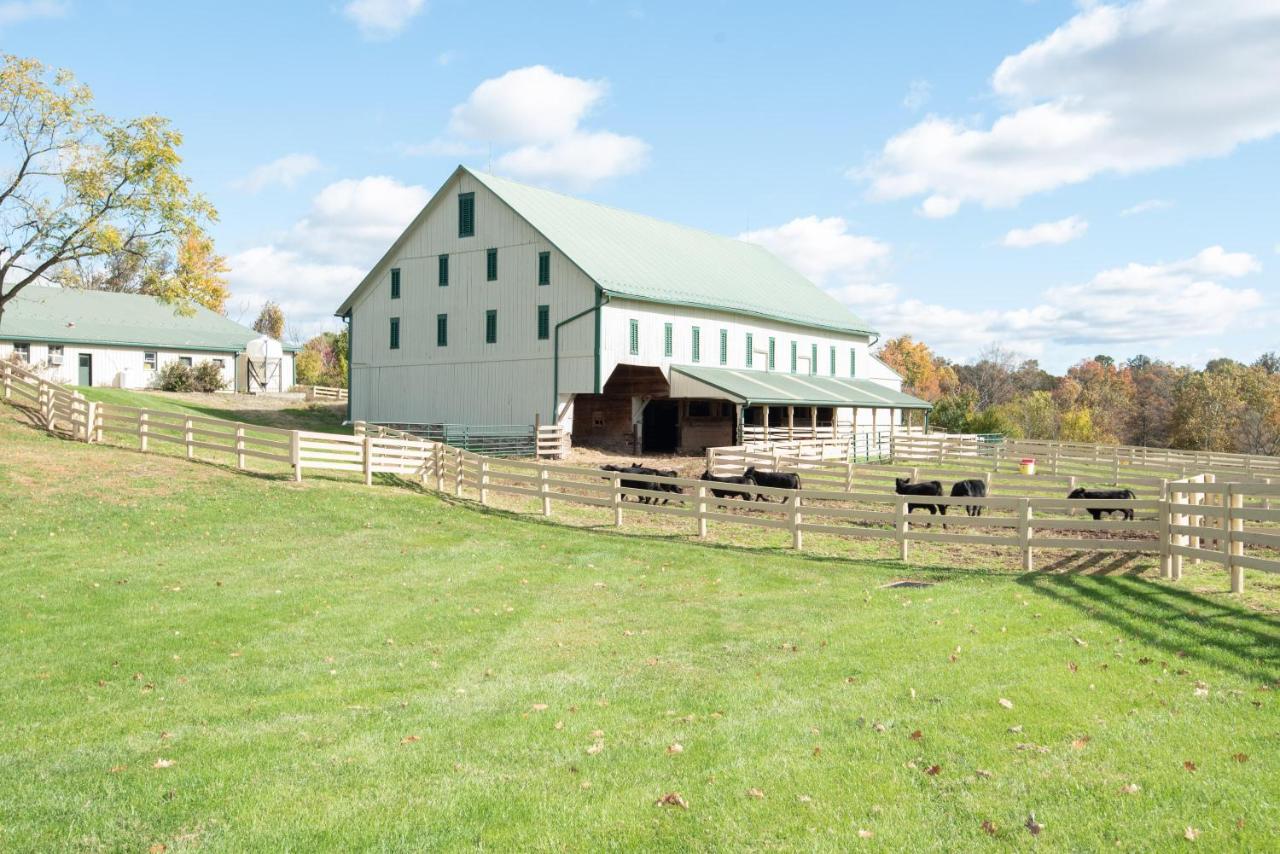 B&B Gettysburg - Cozy Cow - Bed and Breakfast Gettysburg