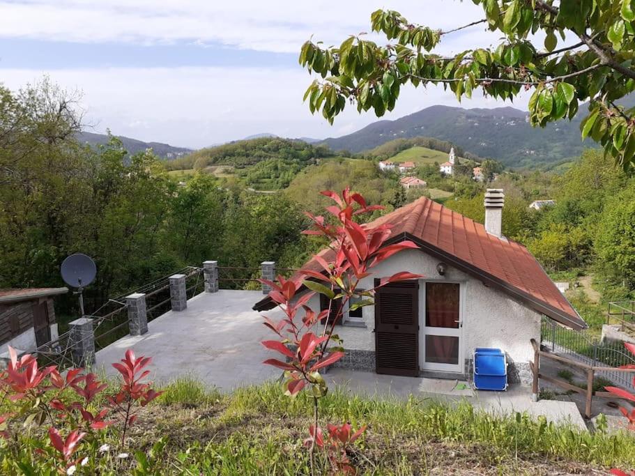 La Casa della Nonna - Ferienwohnung Serra Riccò