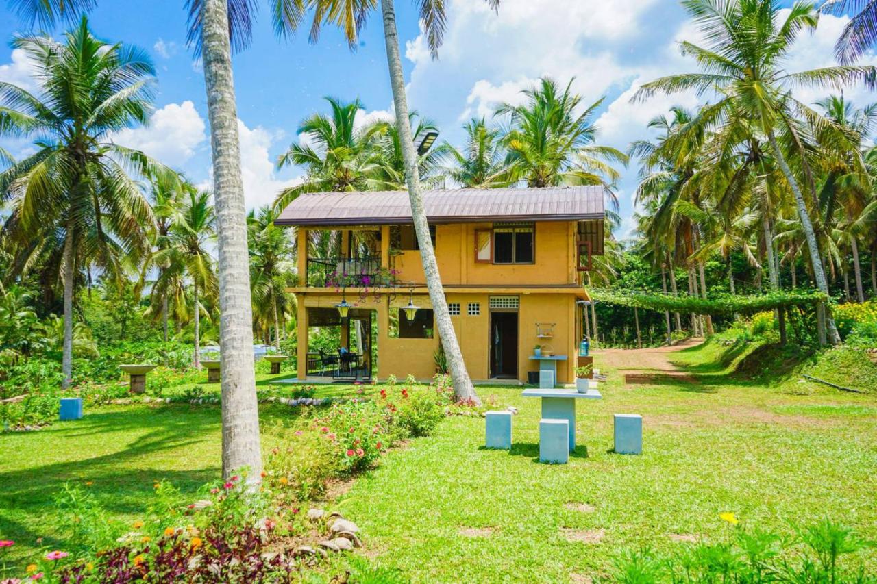 Amandawa Eco - B&B