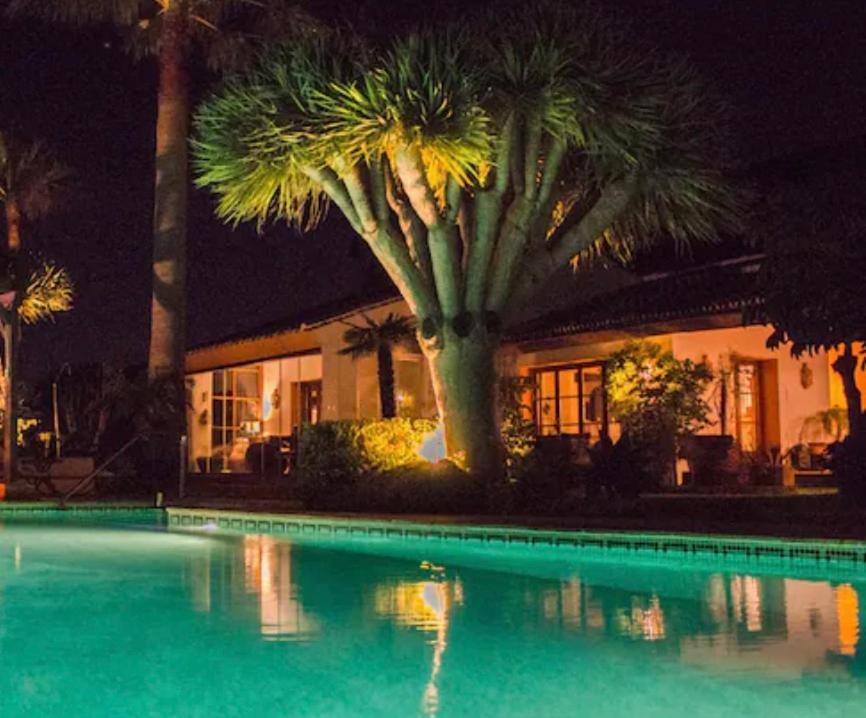 Finca Lechuza - B&B Mijas