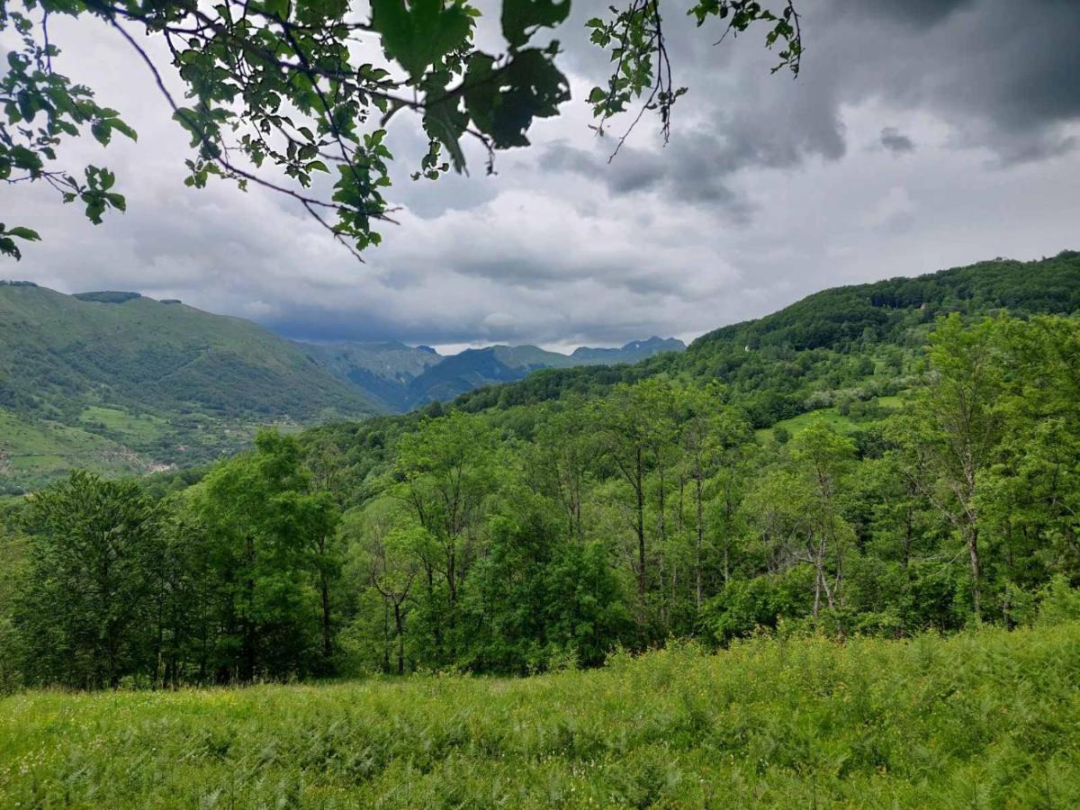 Etno selo -ŠAPAT- - B&B