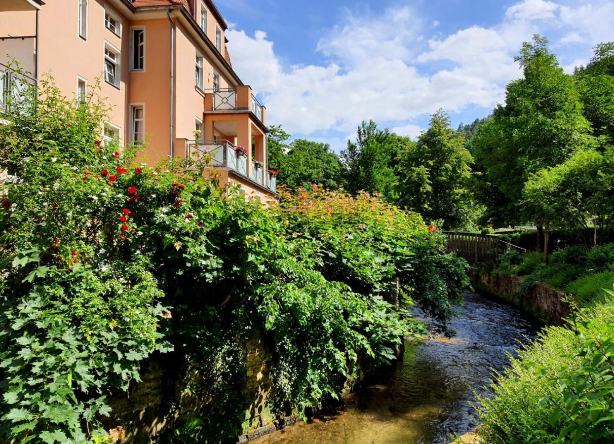 ArtHouse Am Kurpark Bad Schandau - Ferienwohnung Bad Schandau