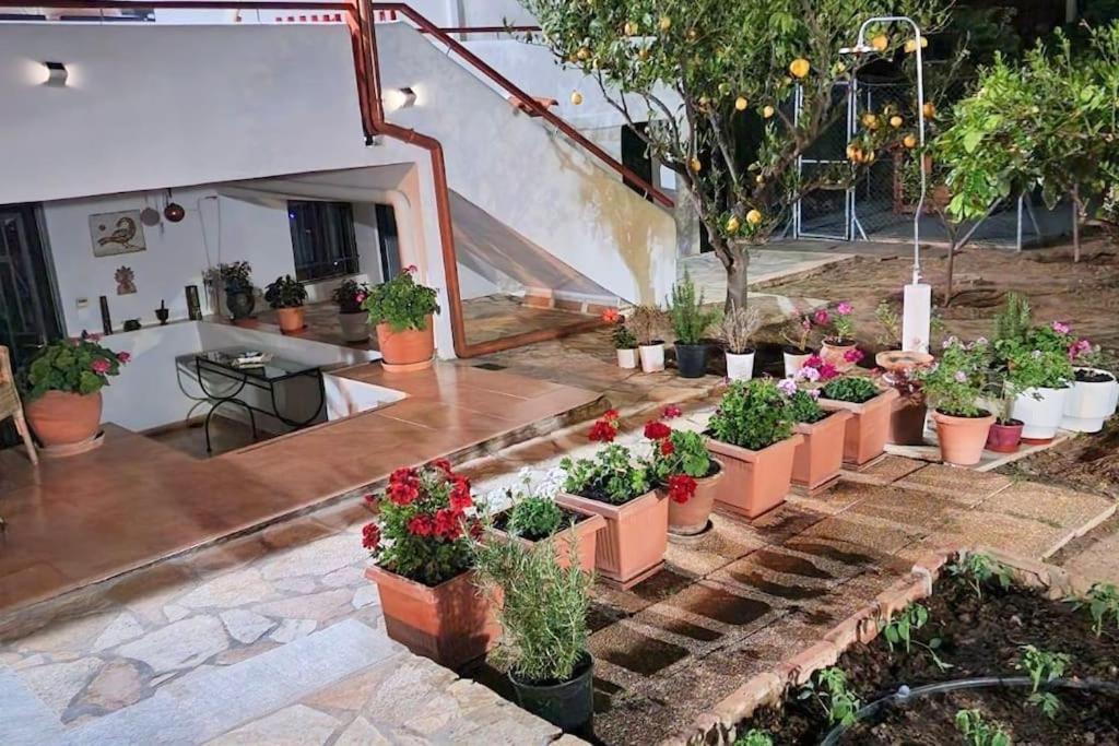 Villa Aura - Thymari - B&B Sunión