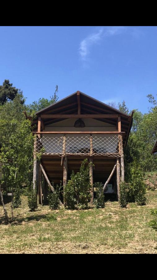 AgriGlamping La Diaccia - Ferienwohnung