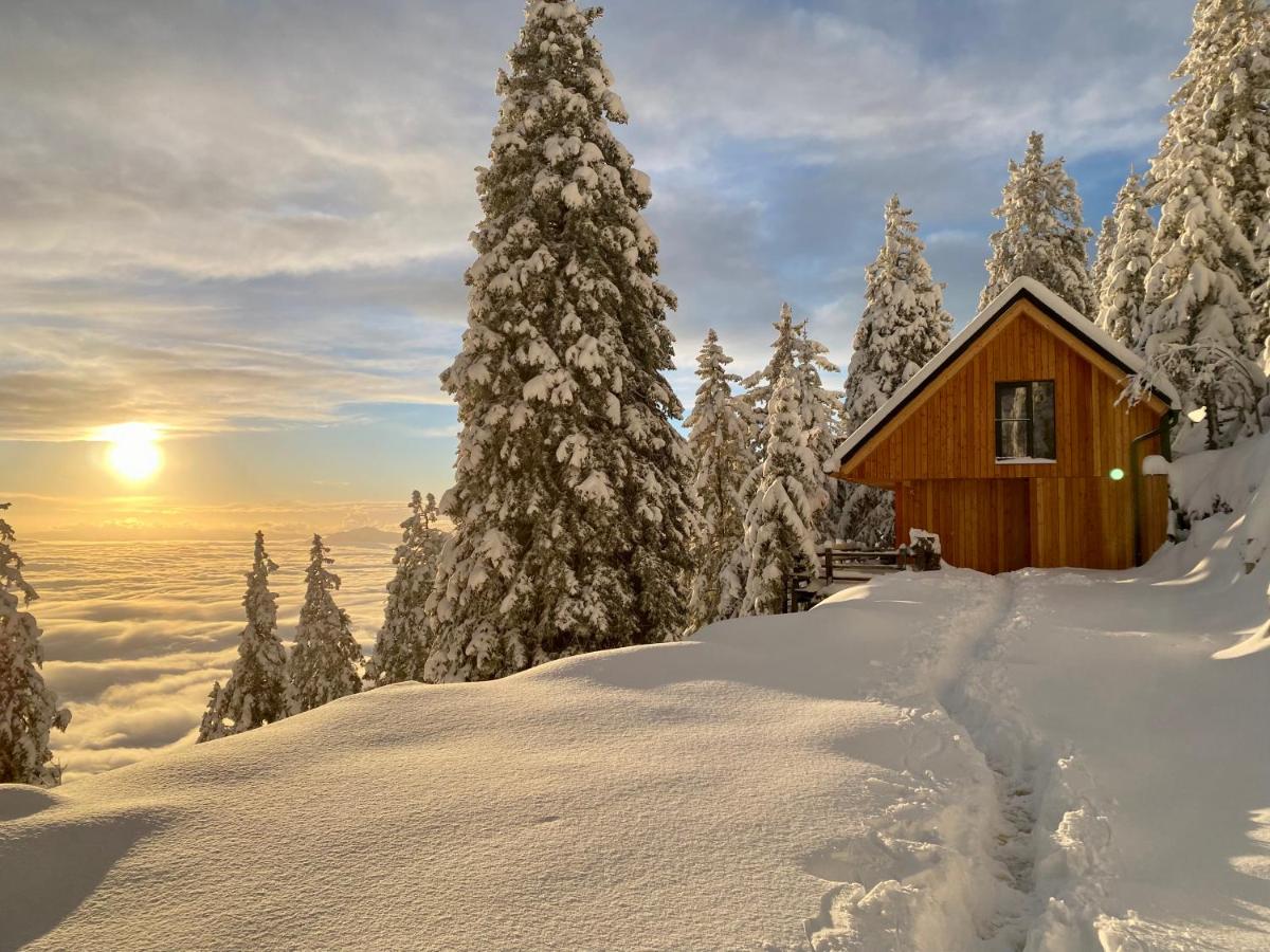 B&B Cerklje na Gorenjskem - Čudovita koča na samem, Gorenka - Bed and Breakfast Cerklje na Gorenjskem