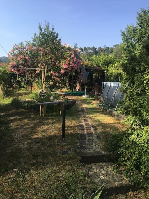 Le Rose , Relax in Casolare del 1700 - B&B Sarzana