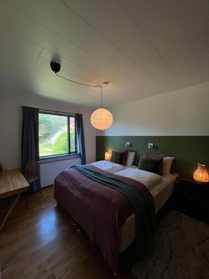 House with a magical garden and sunroom - Bed and Breakfast