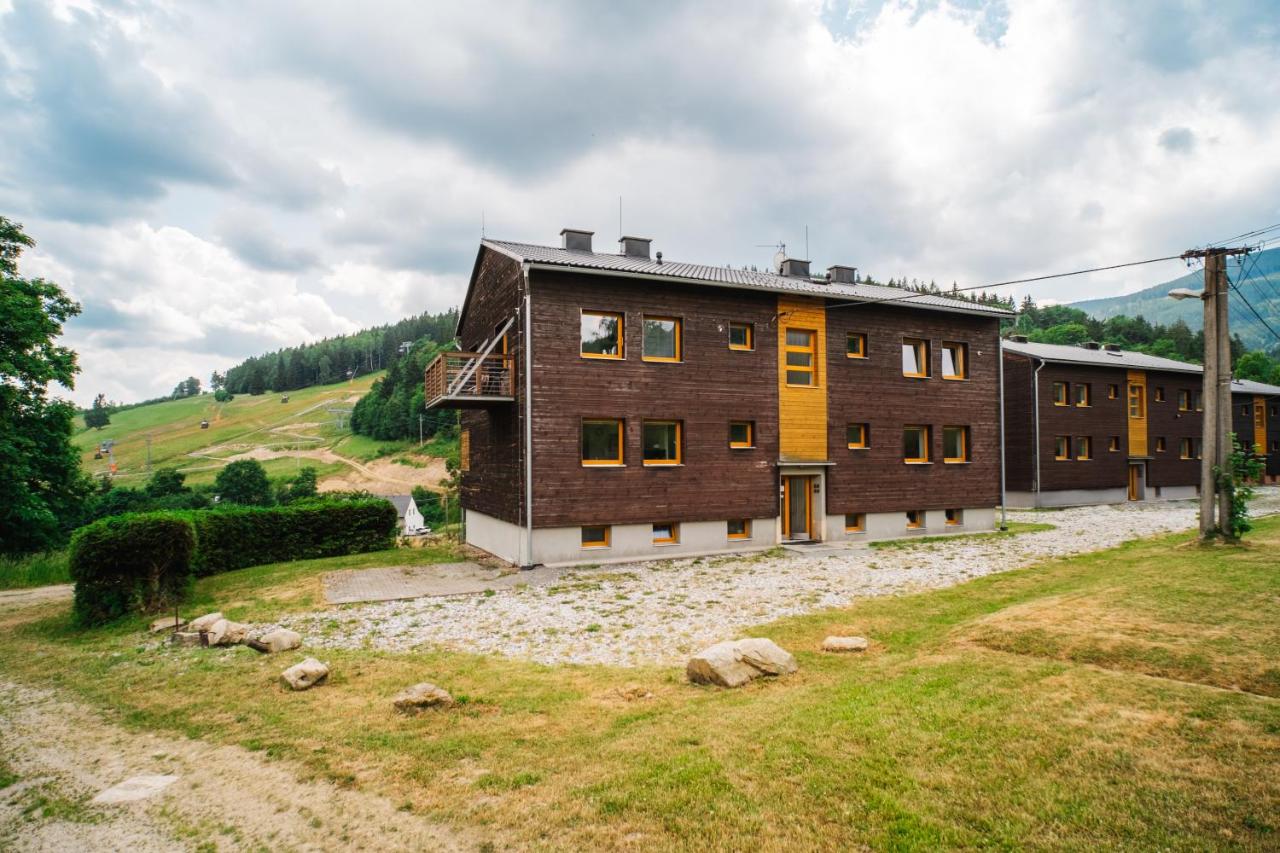 Apartmány Špička - Stříbrnice u sjezdovky - B&B
