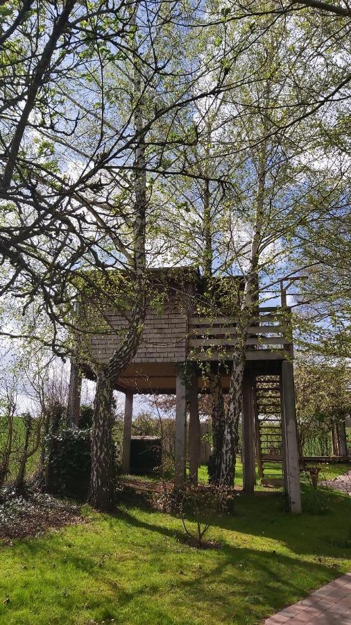 Casa sull'Albero - L'Ours Brun