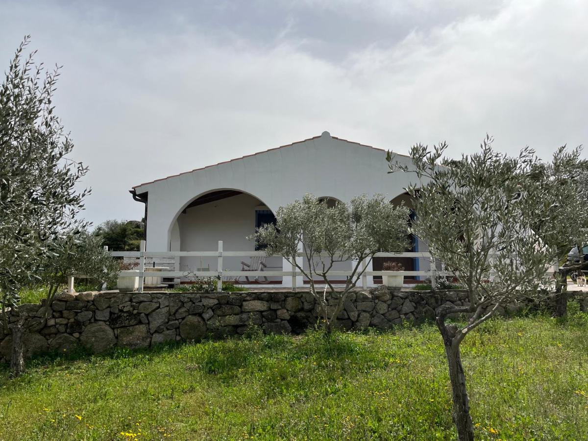 La casa nell'oliveto - Bed and Breakfast