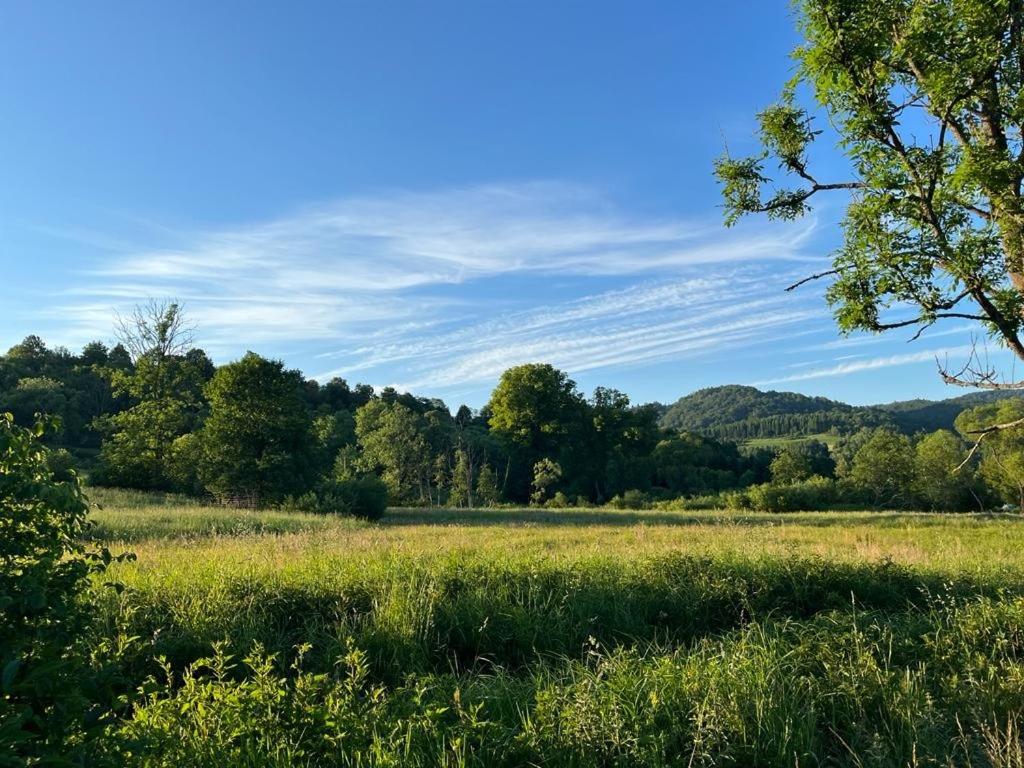 B&B Lutowiska - Bieszczady Domki w Dolinie Sanu - Bed and Breakfast Lutowiska