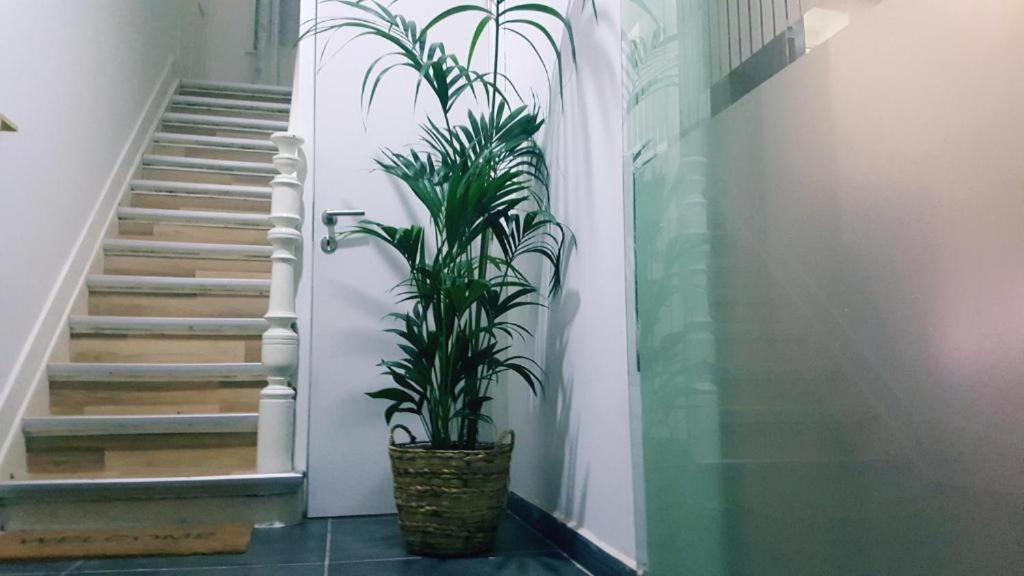 Cozy Rooms with share the bathroom and kitchen - B&B Bruselas