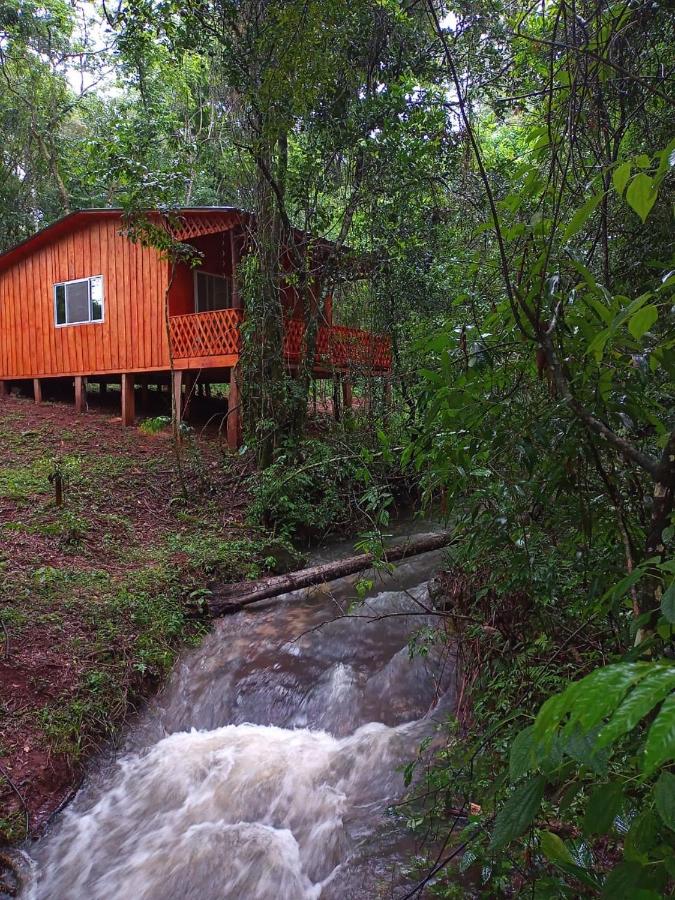 Yasí Yateré Reserva Agroecológica - Chambres d'hôtes El Soberbio