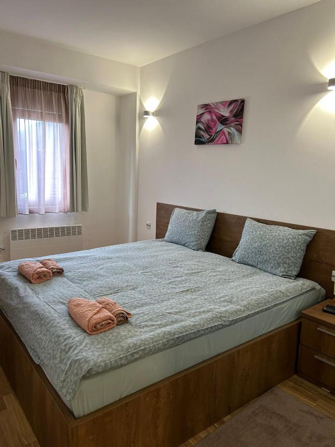 Apartment mit 1 Schlafzimmer
